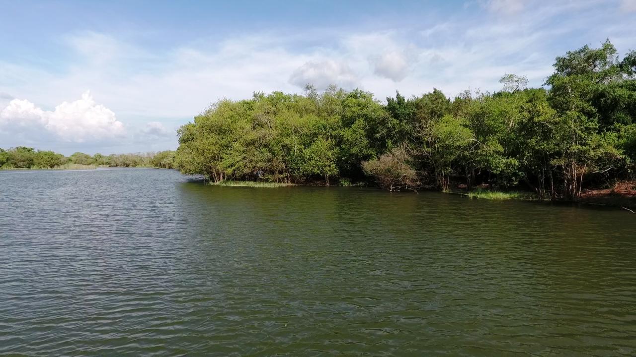 The Backwaters Lodge Wilpattu Exterior photo