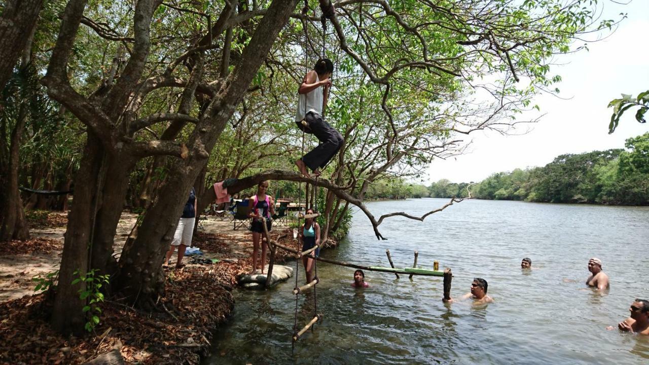 The Backwaters Lodge Wilpattu Exterior photo